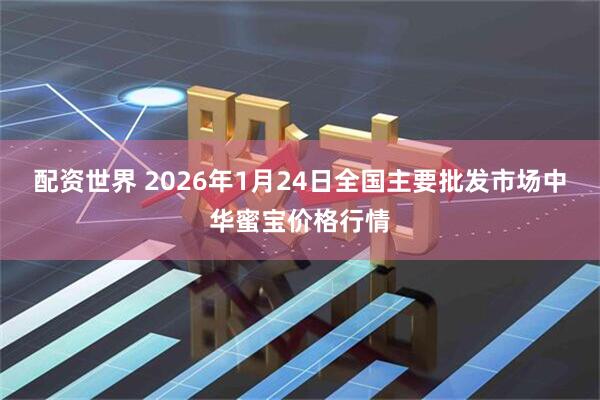 配資世界 2026年1月24日全國主要批發市場中華蜜寶價格行情