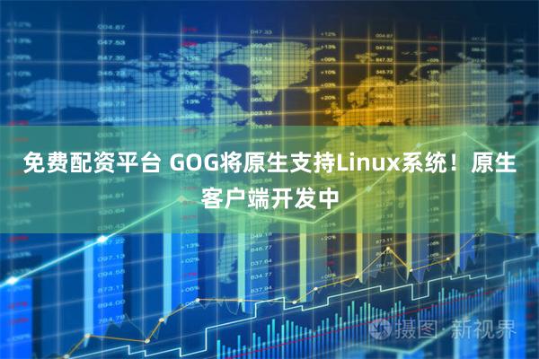 免費配資平臺 GOG將原生支持Linux系統！原生客戶端開發中